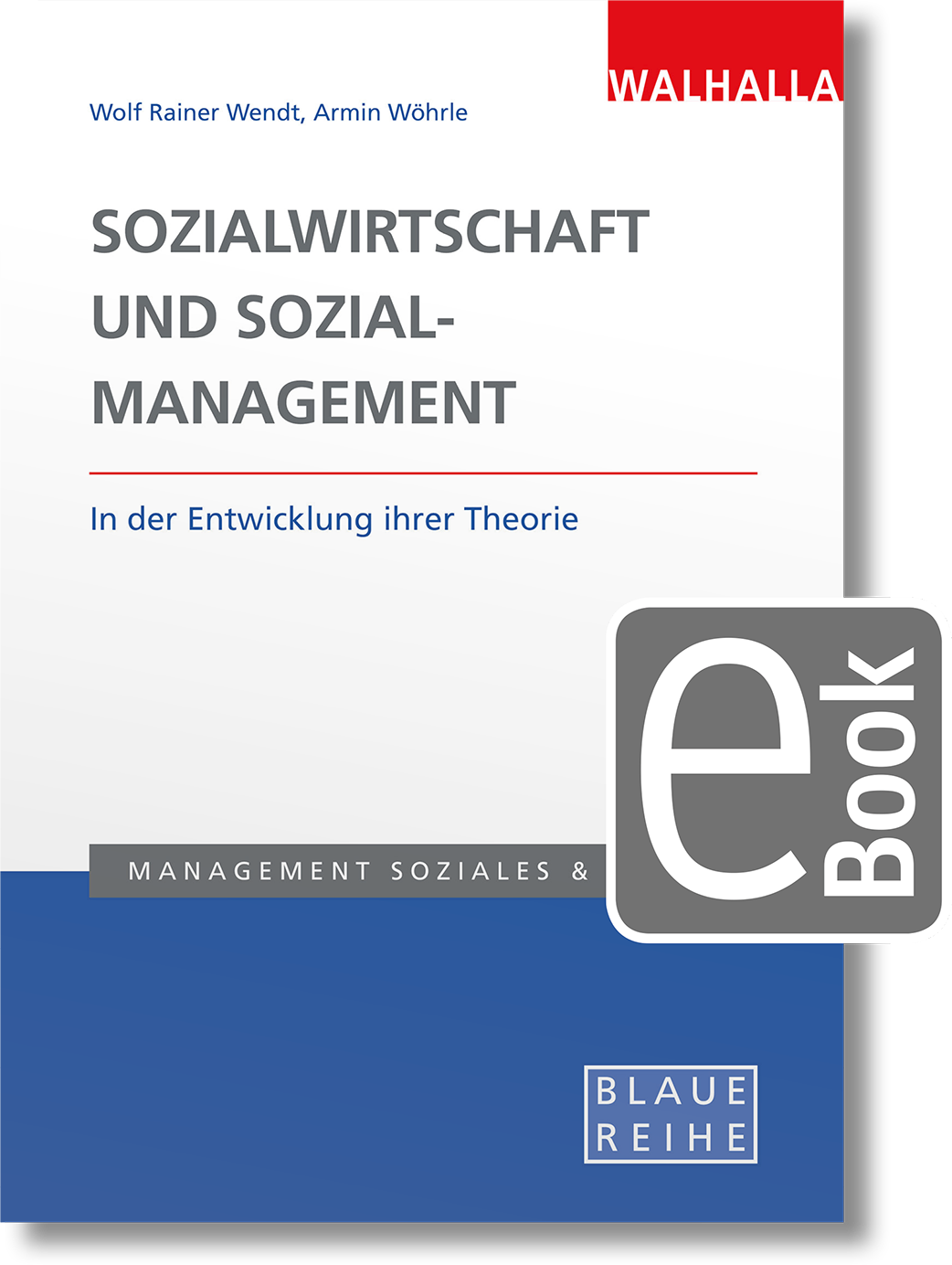 Sozialwirtschaft Und Sozialmanagement In Der Entwicklung Ihrer Theorie ...