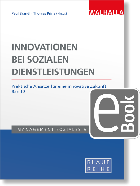 Innovationen bei sozialen Dienstleistungen Band 2